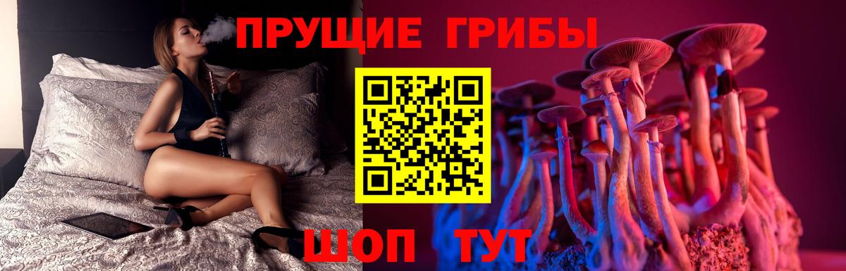 где найти   Галлюциногенные грибы Magic Shrooms  Вход с VPN  Сыктывкар 